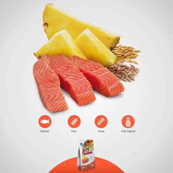 Salmon Adult Dog Food H49483