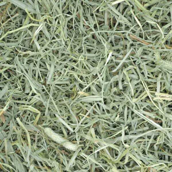 Timothy Hay Small Pet Food Q962